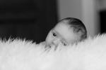 IMG_1369 - Version 2.jpg